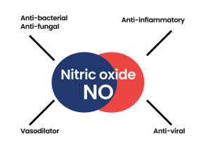 Diagram of Nitric Oxide (NO)